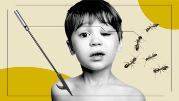 Health: Allergies: patient stories feel bee sting option 2