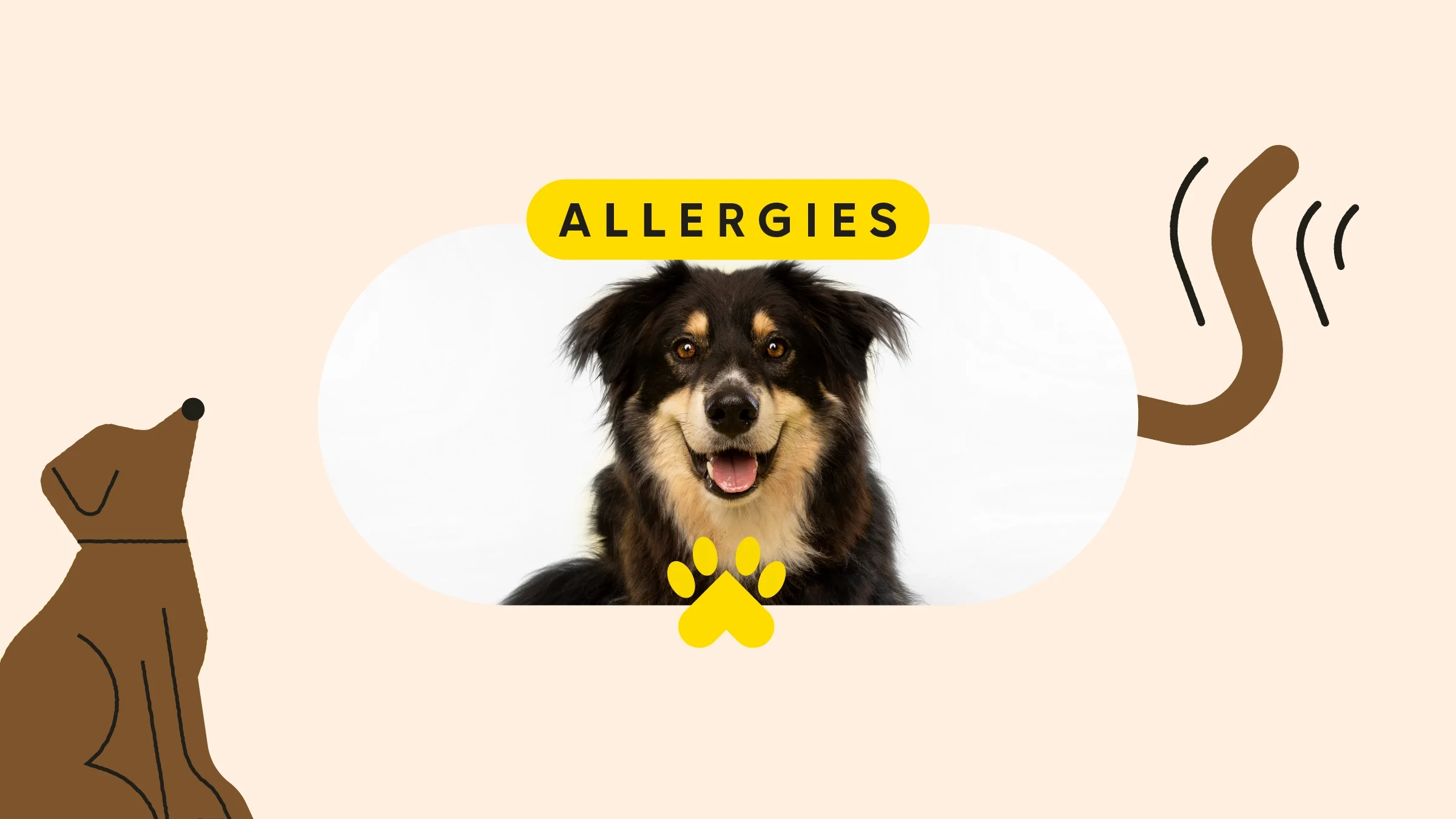 A custom graphic includes a portrait of a black-and-brown, long-haired dog. The word “Allergies” is written above, and there are dog doodles on either side.