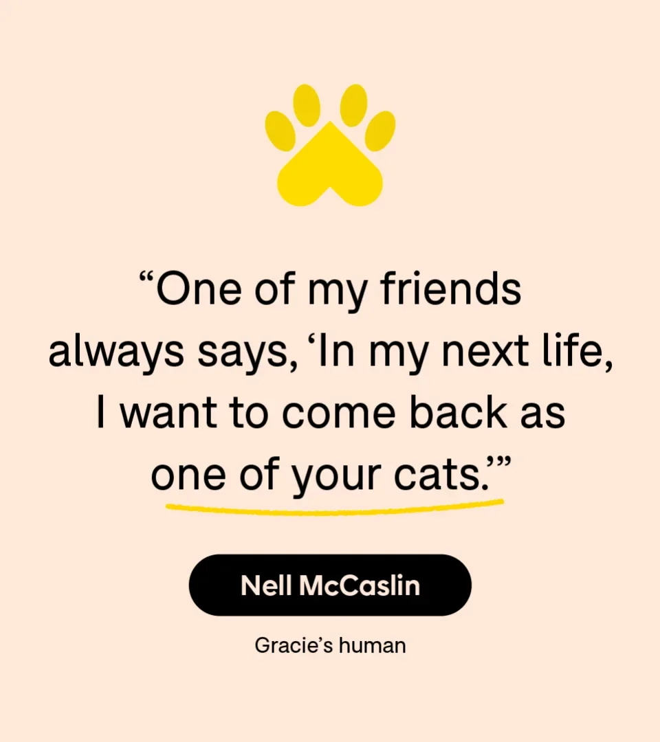 “One of my friends always says, ‘In my next life, I want to come back as one of your cats.’” — Nell McCaslin