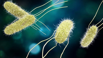 microscopic salmonella blue green-874165142