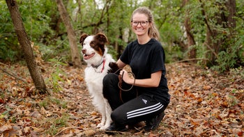 Patient experiences: dak pet care featured image