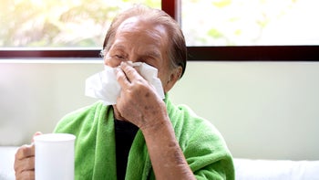 Cold: senior man with a cold 1834510273