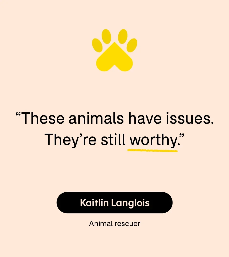 “These animals have issues. They’re still worthy.” — Kaitlin Langlois