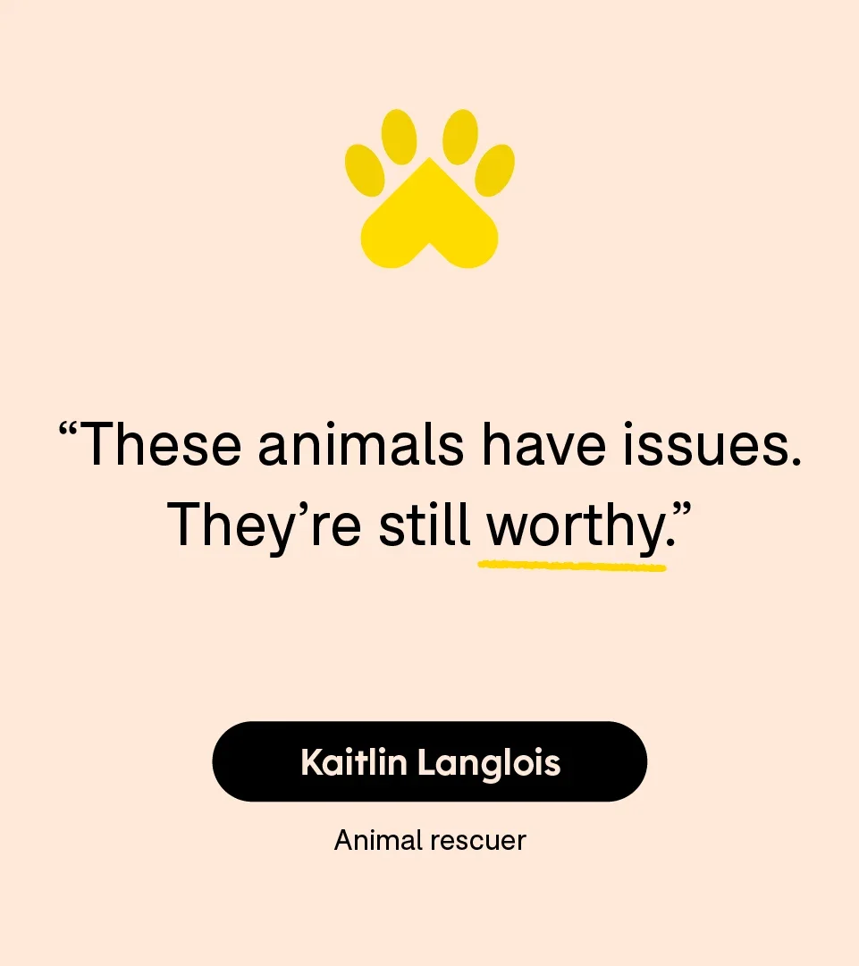 “These animals have issues. They’re still worthy.” — Kaitlin Langlois