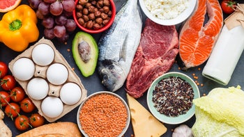 Diet nutrition: Macros: overhead of balanced diet 945548926