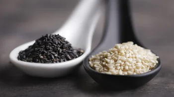 diet-nutrition: spoonful of sesame seeds 2038929017