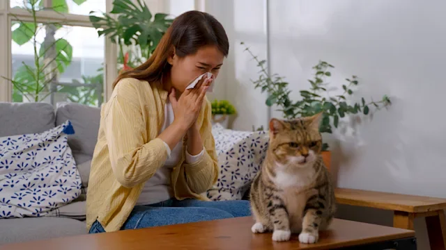 Allergies: woman blowing her nose 1481848165