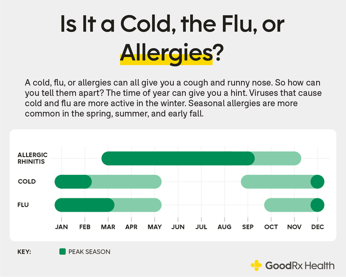 An infographic showing the peak seasons of allergic rhinitis, cold, and the flu.