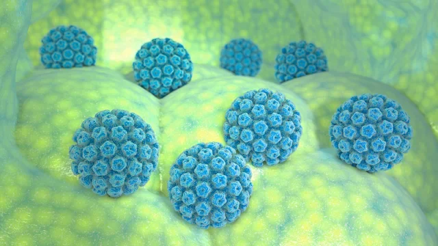 HPV virus miscroscopic look 1207919718