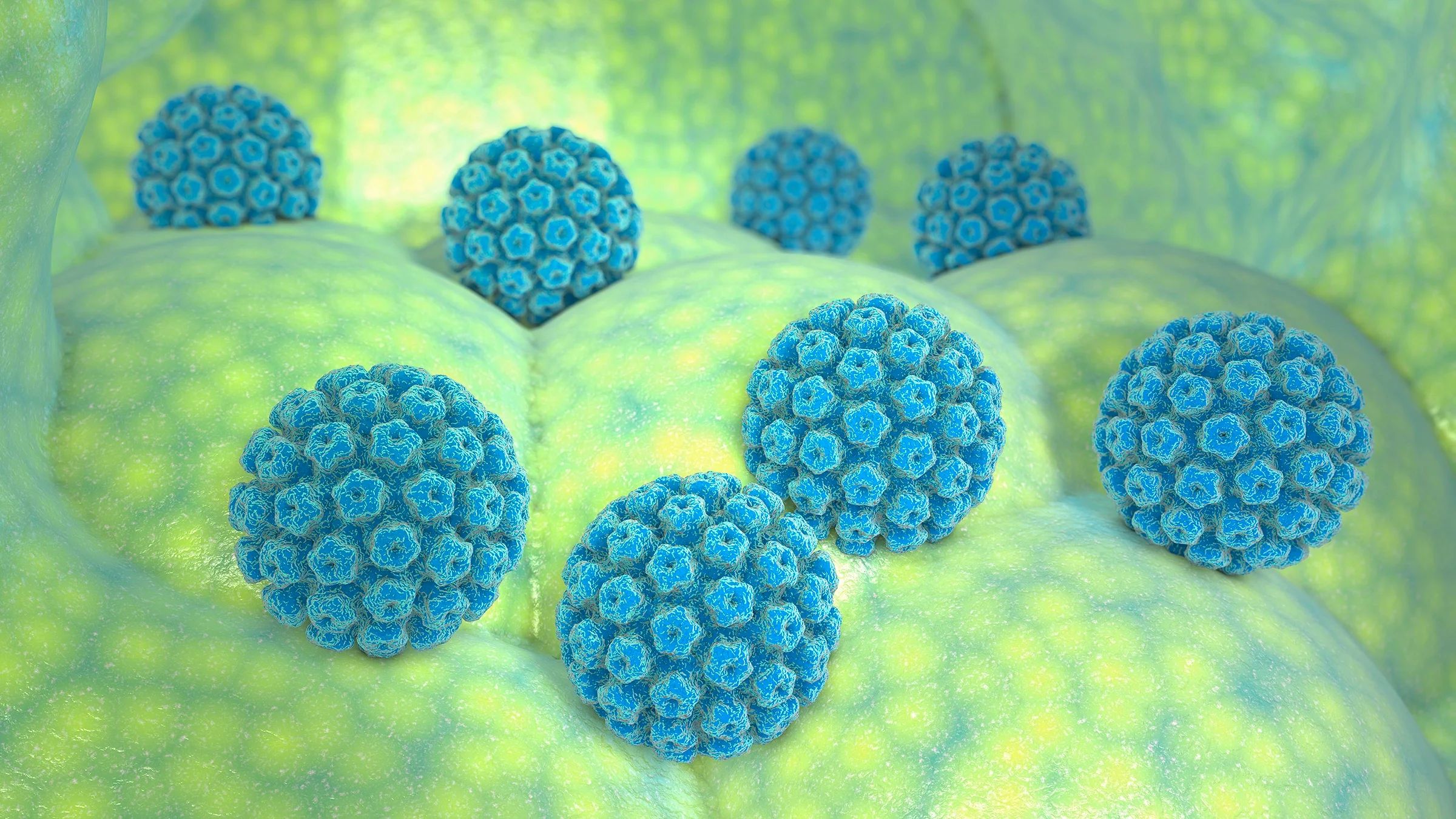 HPV is seen in a microscopic image in blue and green gradients.