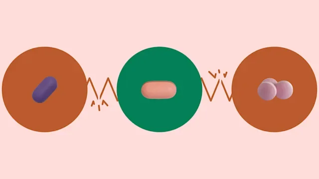 statin: drug interaction statin