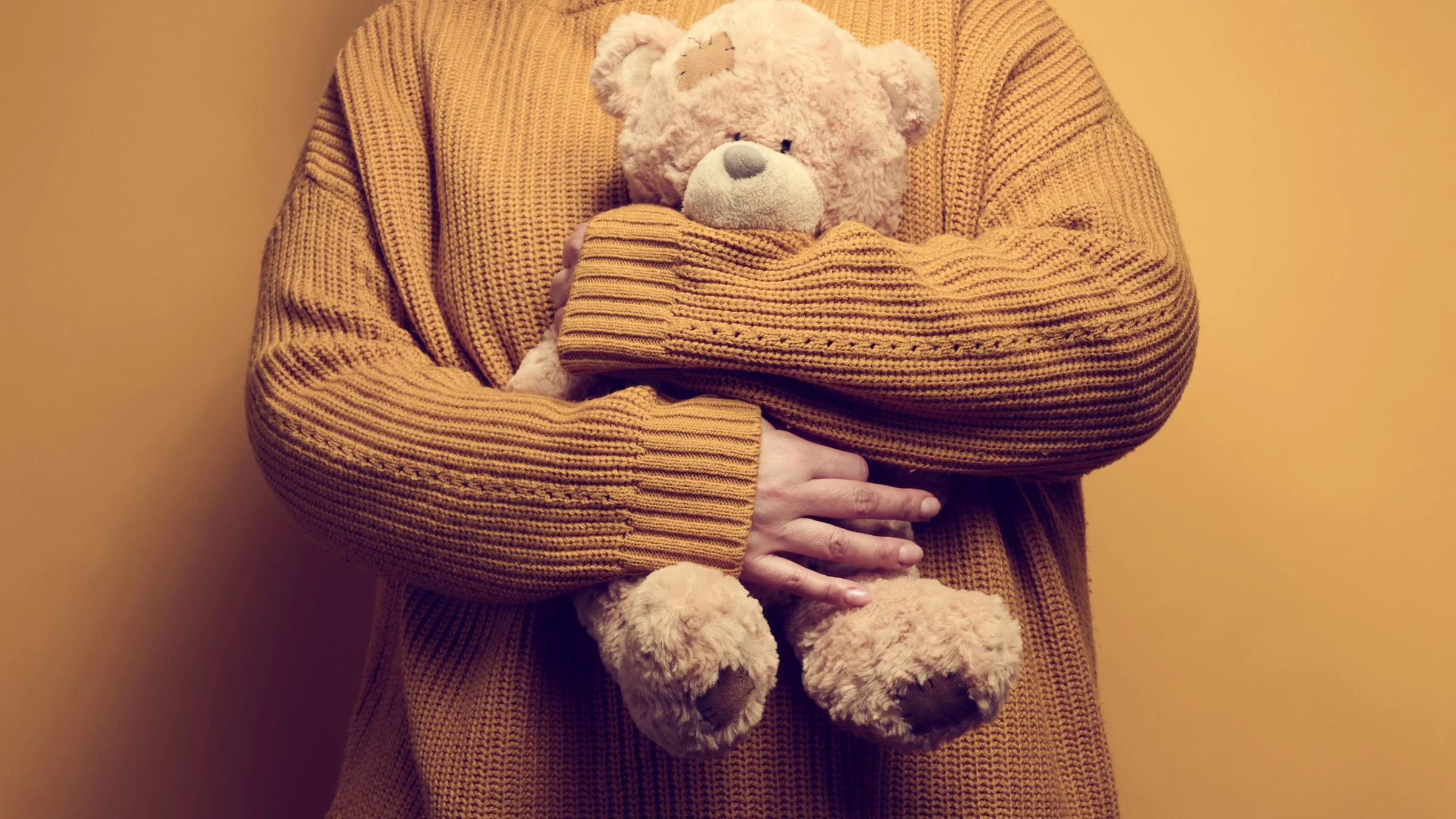 Cropped shot of someone holding a teddy bear.