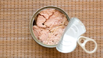 Diet-nutrition: overhead view of canned tuna fish 153742353