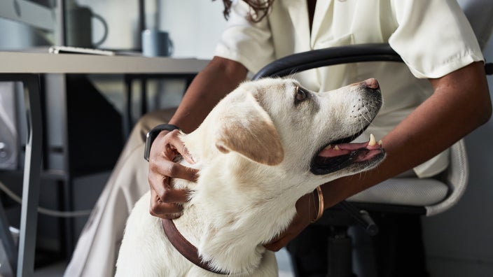 A woman pets her dog.