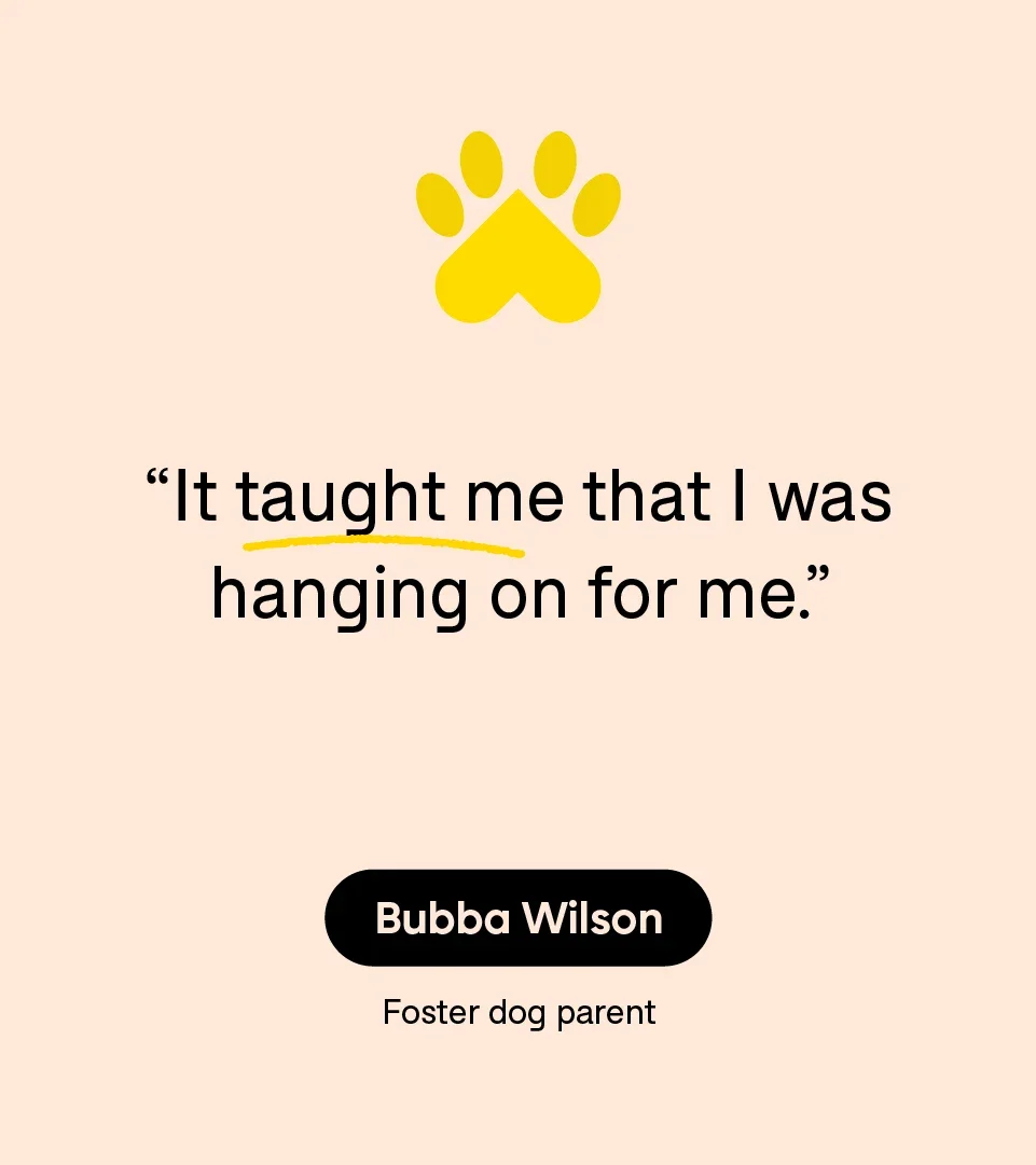 “It taught me that I was hanging on for me.” — Bubba Wilson, who has fostered more than 500 dogs