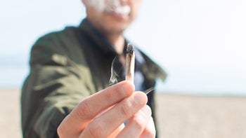 Substance use: Marijuana gateway drug: cropped passing joint beach 1215355313