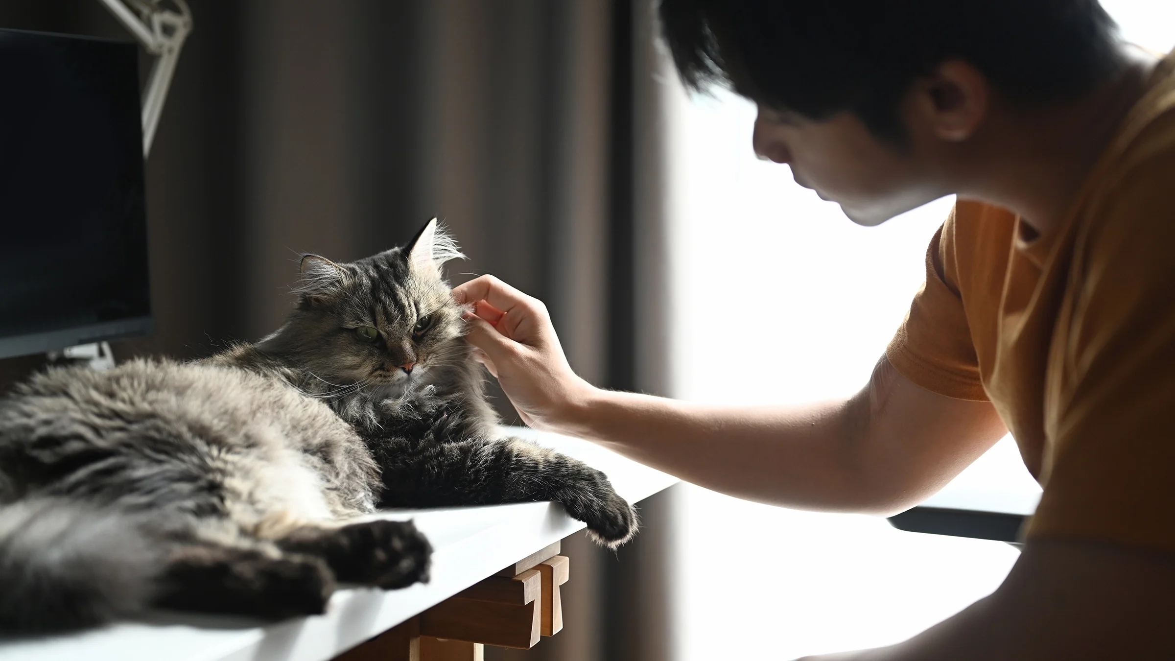 Man petting his cat at home.