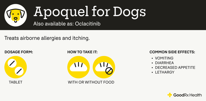An infographic explaining Apoquel for dogs, including its alternative names, uses, dosage forms, administration guidelines, and common side effects.