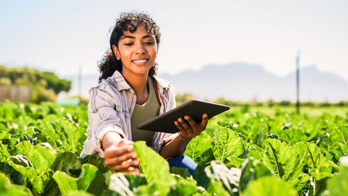 A person inspecting crops outside and holding a tablet.