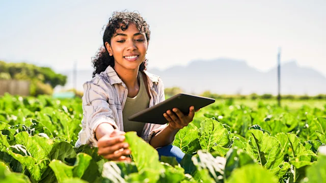 Diet nutrition: GMO: inspecting crops holding tablet 1365693929
