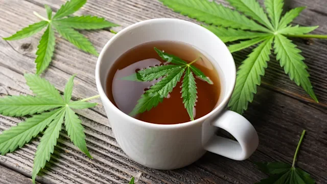 Medicare: tea with cannabis leaves 2165539977