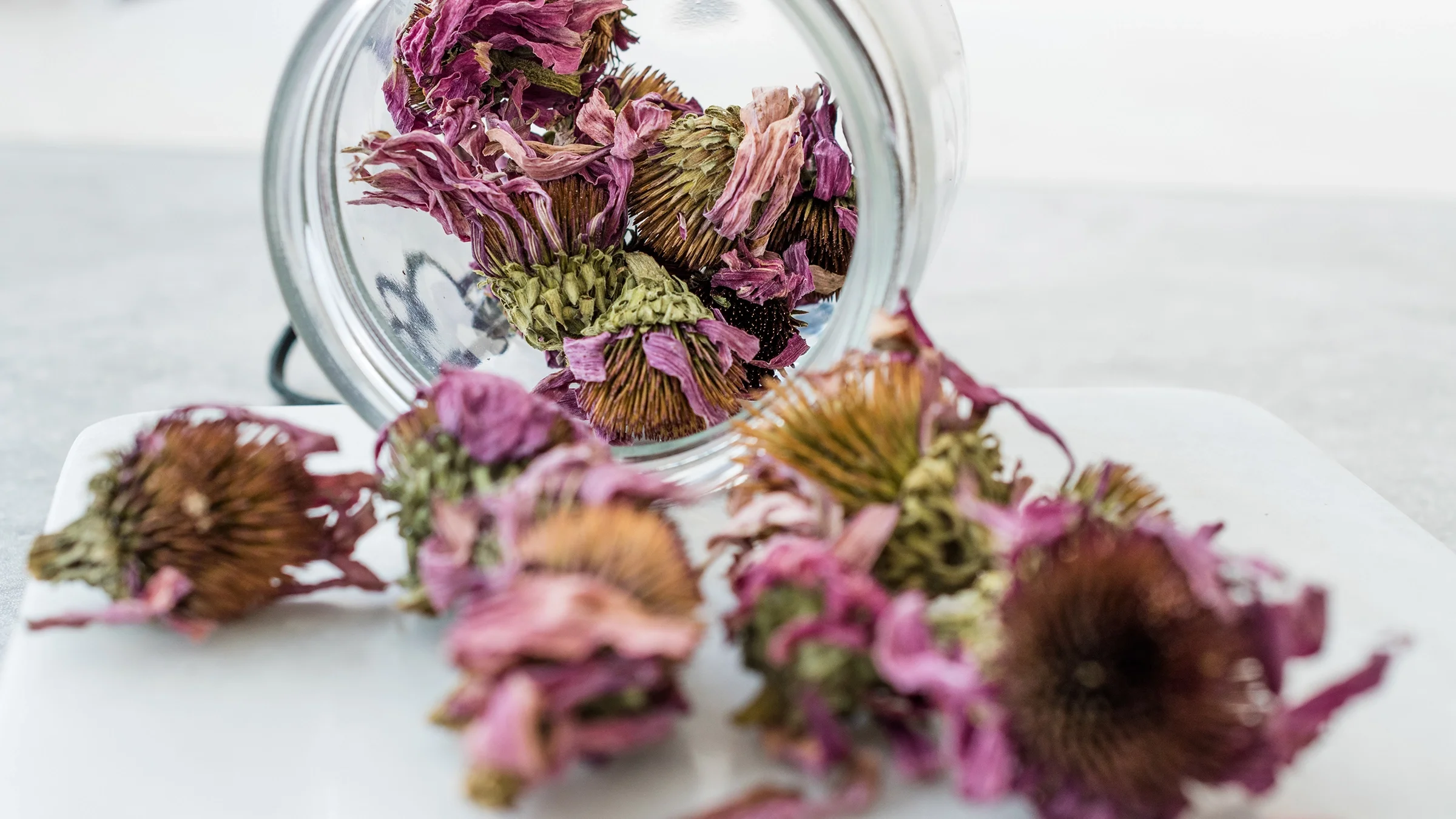 Dried echinacea in a glass jar spilling out onto the white table.