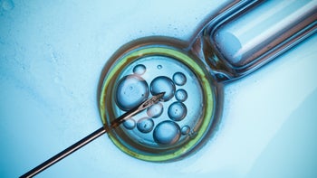 Health: Parenthood pregnancy: GettyImages 502129774