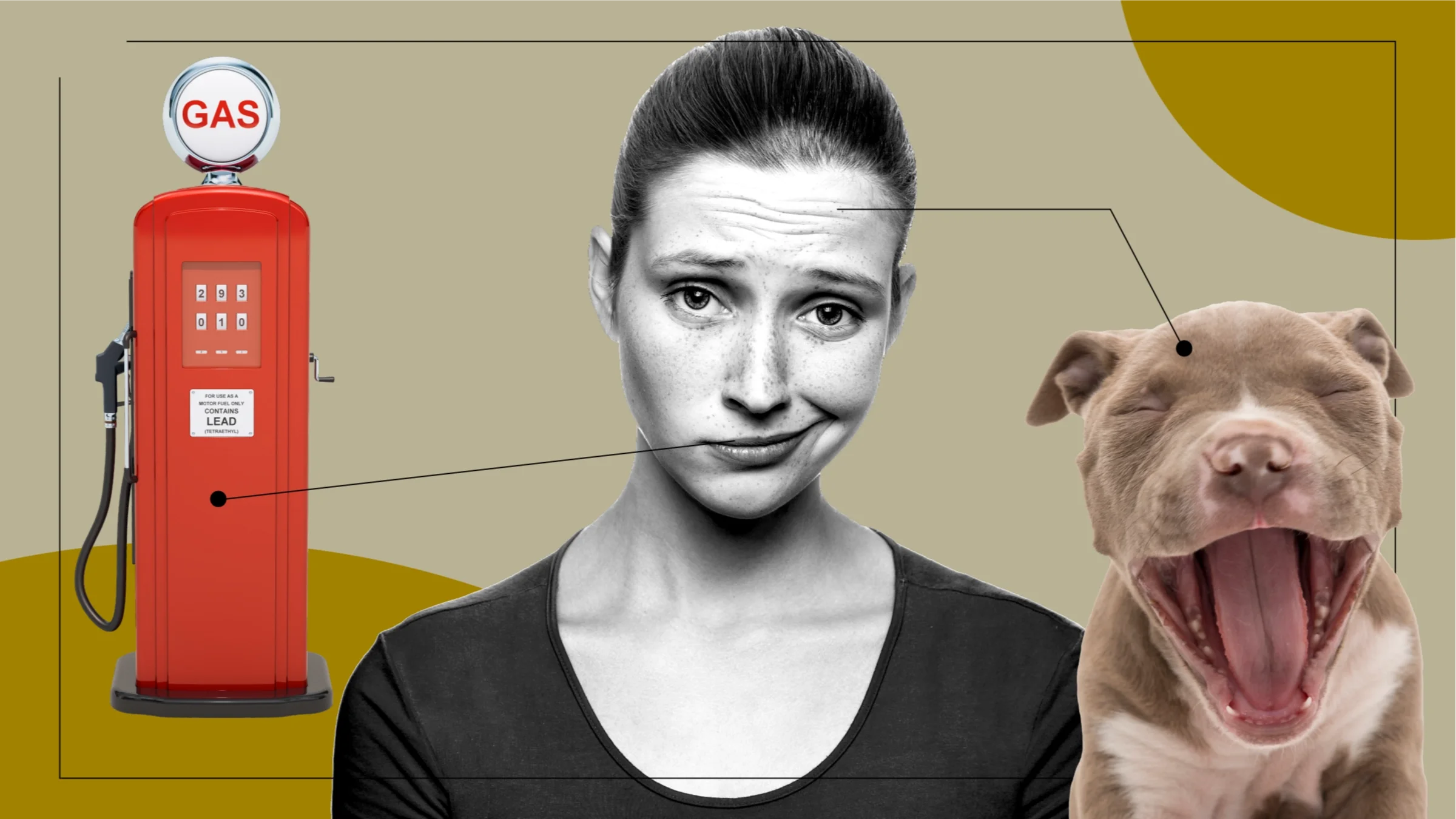 Tan background with a black and white portrait of a woman with her hair up and crooked smile. Off of her are diagram lines pointing to objects representing feelings on Saxenda and Wegovy. On the left, is a vintage red gas pump. On the right, is a puppy yawning. 