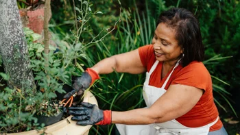 Medicare: woman gardening 2163093113