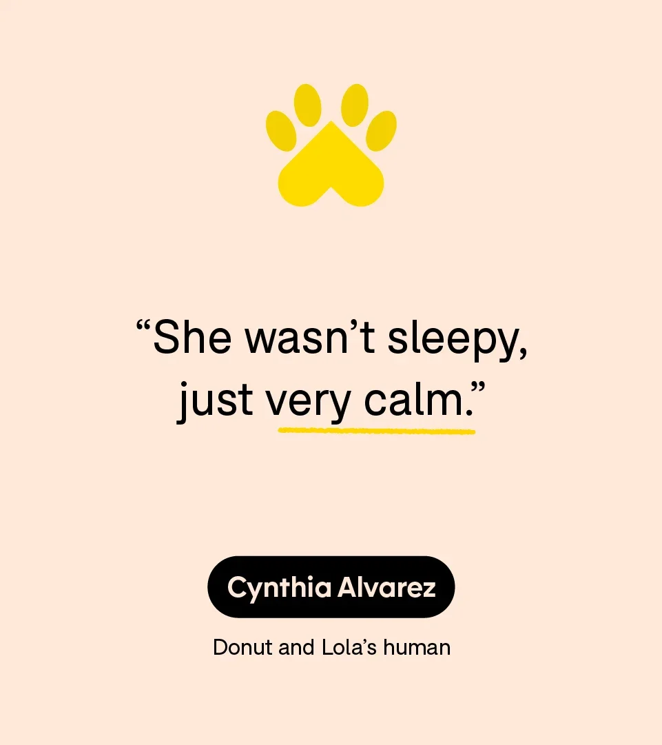 “She wasn’t sleepy, just very calm.” — Cynthia Alvarez