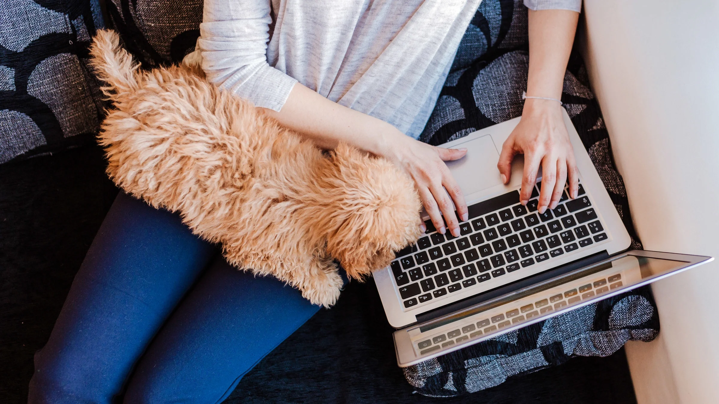An image taken from above of a person using their laptop, with their dog on their lap.