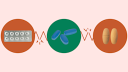 Light-red background with three circles across the frame. In the center, on a green circle, are three oblong blue pills. On the left, on a red circle, is a silver blister pack of pills. On the right, on a red circle, are two oblong orange pills.
GoodRx Health