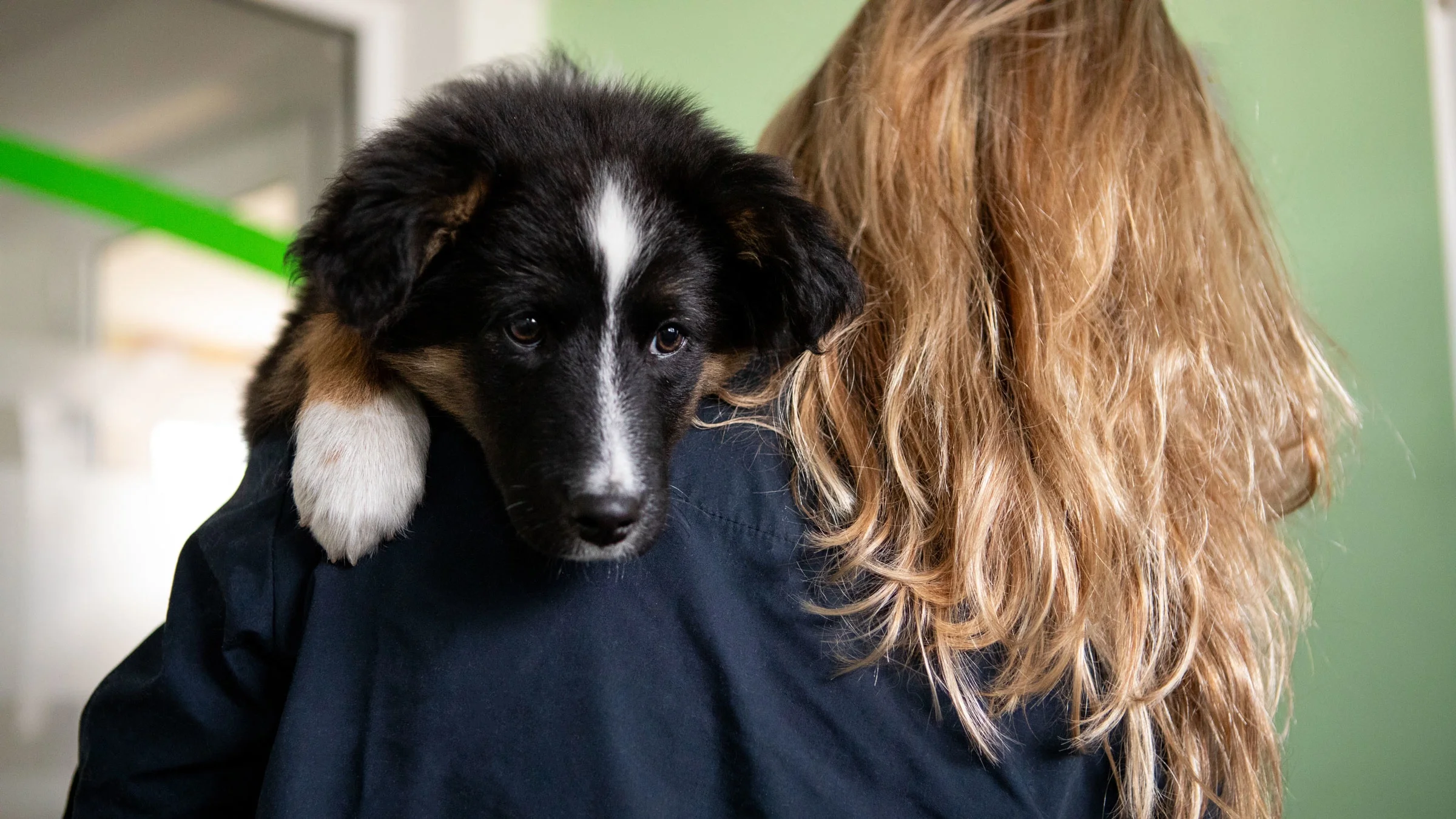 A vet hugging a dog.