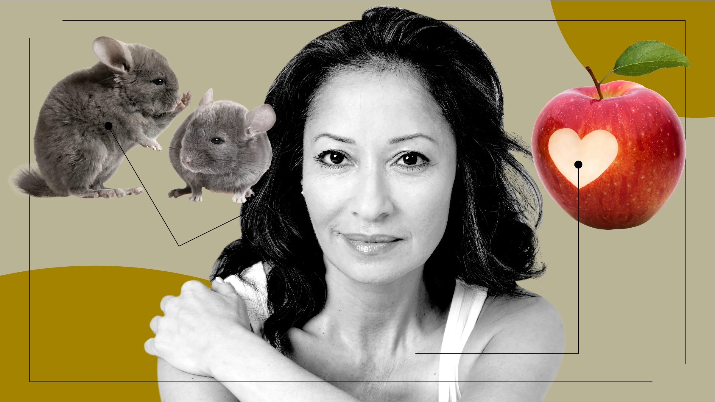 Custom graphic showcasing what dry January feels like to some. In the center is a black and white portrait of a dark haired woman. Off of her are diagram lines pointing to objects representing the feelings. On the left is a chinchilla looking like it’s talking into the ear of another chinchilla. On the right is a heart bite in an apple.