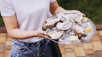 Diet Nutrition: closeup oysters on ice with lemon 2175626177