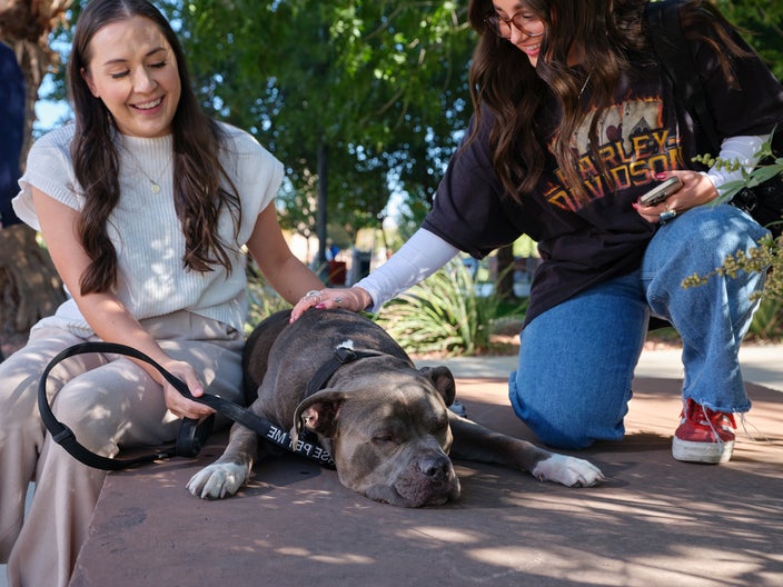 Alisha Benson is pictured visiting a college campus with her therapy dog, Duke, and she and a student are smiling as the student pets her dog.