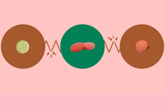 What to know about Xarelto interactions and how they may impact on your health.