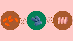 This graphic depicts a light red background with three circles across the frame. In the center, on a green circle, are dark blue pills. On the left, on a red circle, are five orange pills. On the right, on a red circle are three peach colored pills.
GoodRx Health