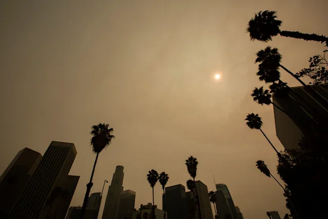 West Coast Wildfires Spur an Increase in Asthma Medication Fills Nationwide