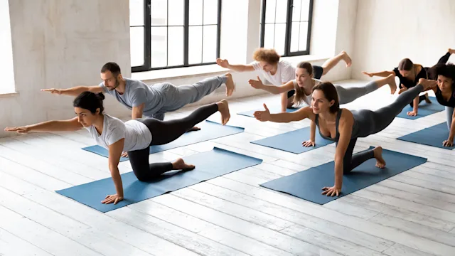Movement-exercise: workout class doing bird dog pose 1222252765