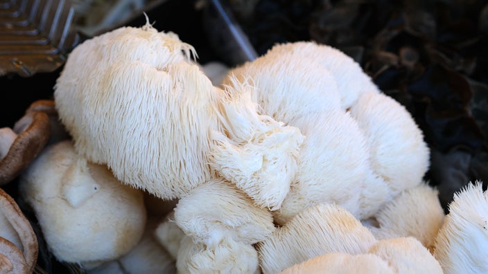 Lion’s mane mushroom caps are shown.