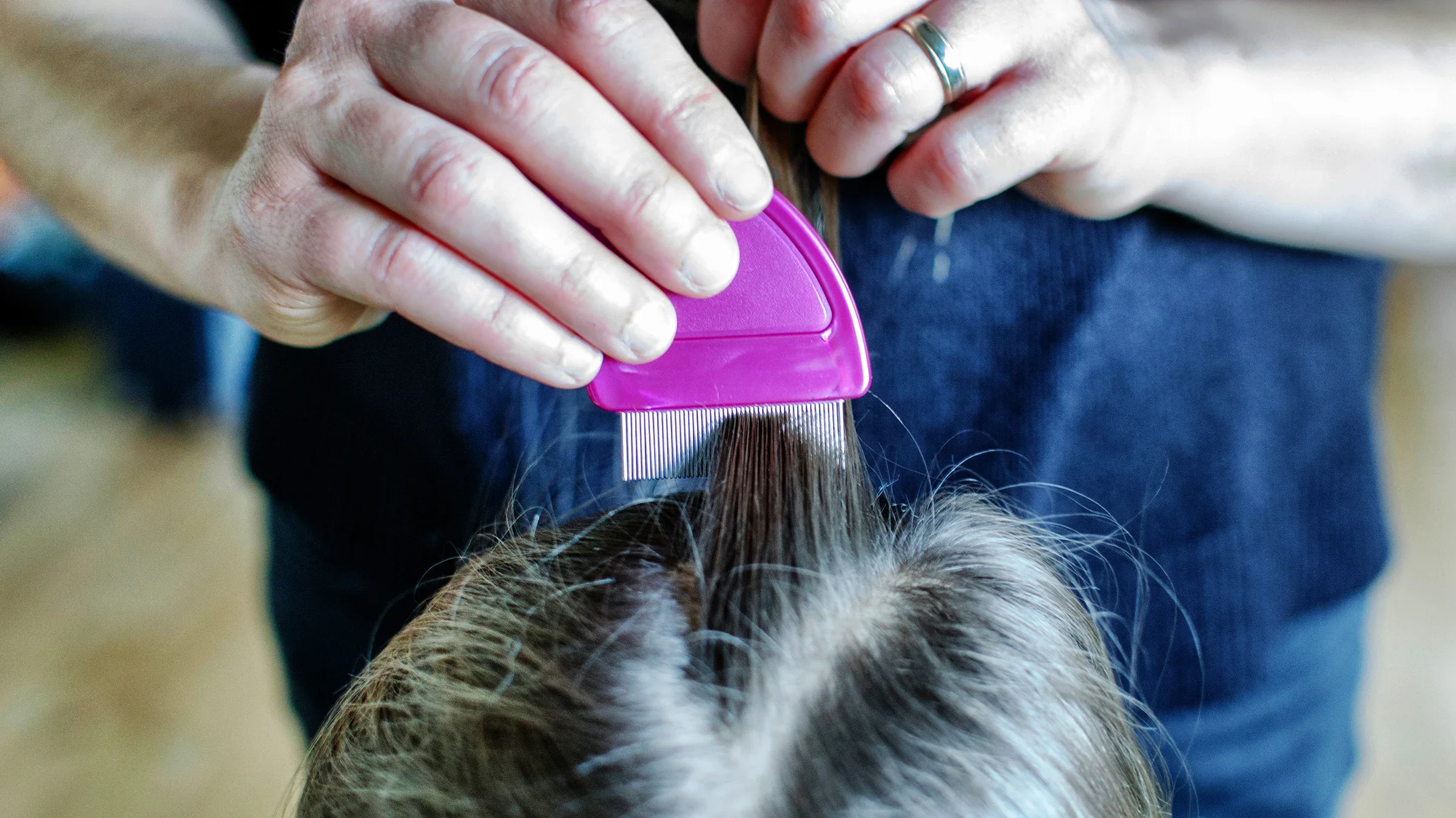 A parent combs a child’s hair, checking for lice. 
Mypurgatoryyears/iStock via Getty Images Plus