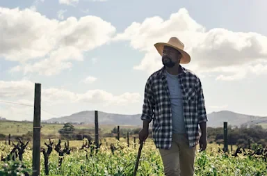 Older man walking with a walking stick through his vineyard looking off into the distance with puffy white clouds in the sky.
PeopleImages/E+ via Getty Images