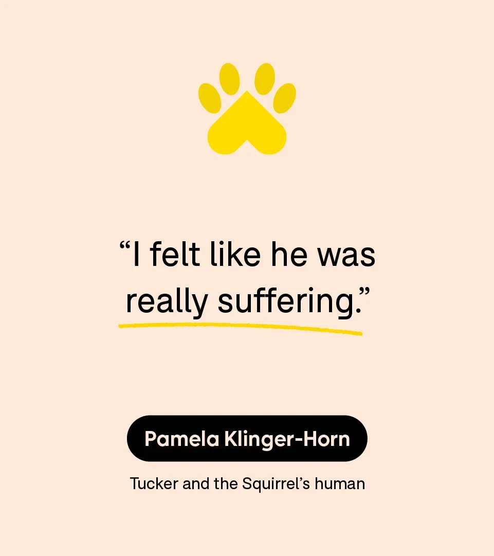 “I felt like he was really suffering.” — Pamela Klinger-Horn, Tucker and the Squirrel’s human
