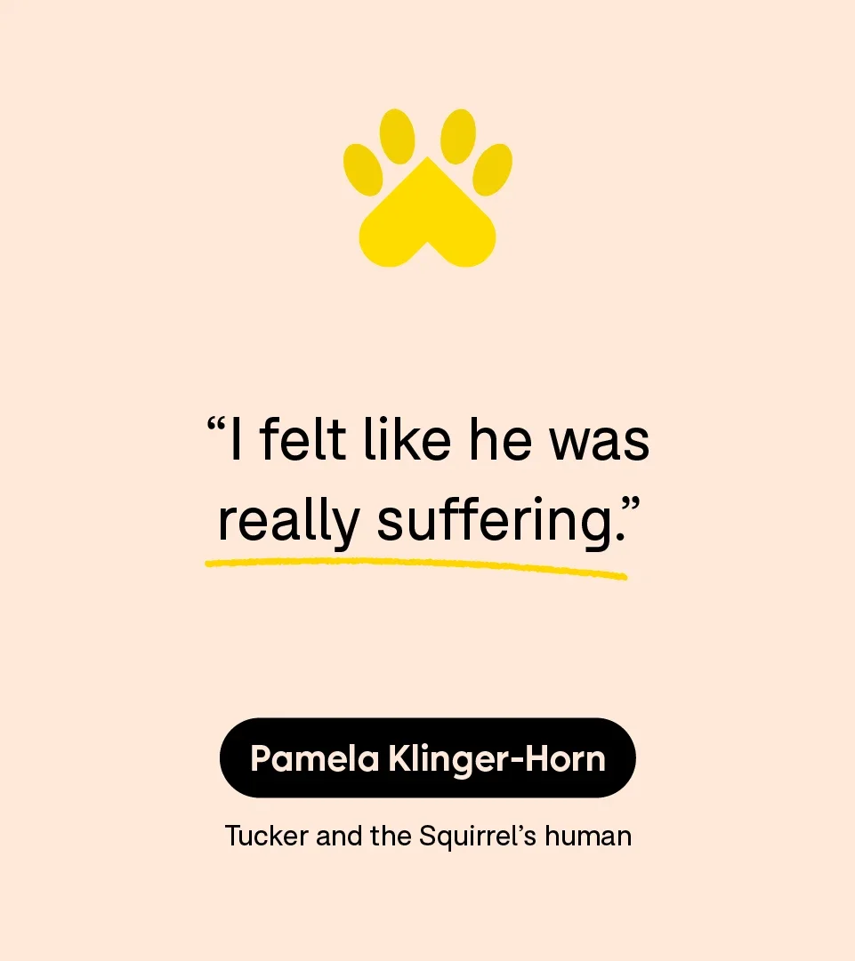 “I felt like he was really suffering.” — Pamela Klinger-Horn, Tucker and the Squirrel’s human