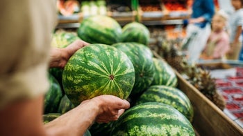 sexual-health: closeup hands picking up a watermelon 867166794
