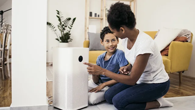 Allergies: mother son use air purifier 1338702572