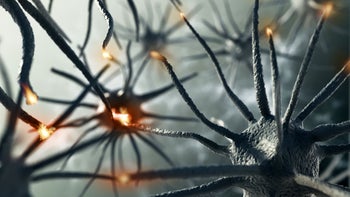 Health: Shingles: 3d brain neurons 666953558