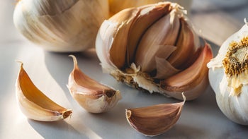 Health: Yeast infection: GRxH debunked-13