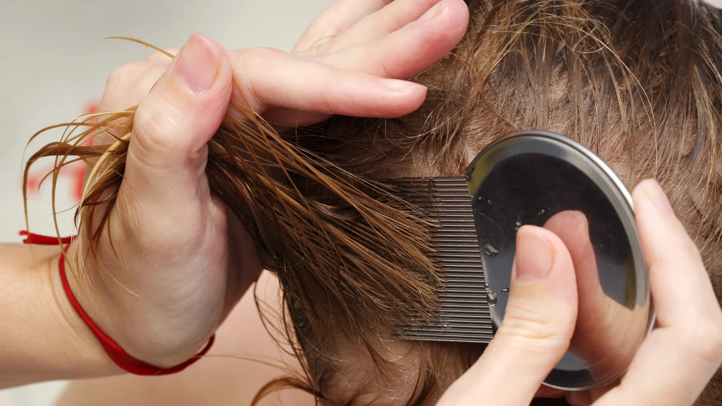 A person, in close-up, combs someone’s hair for head lice with a nit comb.